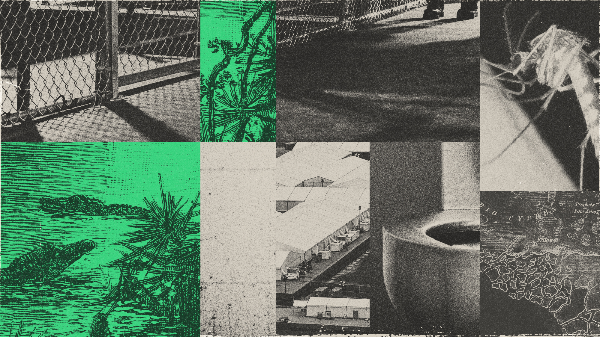 Photo composite illustration of cages and aerial views of "Alligator Alcatraz", mosquitoes, a toilet and an engraving of swampland