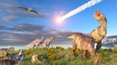 Illustration of dinosaurs as the extinction asteroid hit 66 million years ago