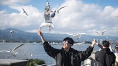A young man in sunglasses feeds a black-headed seagull mid-flight